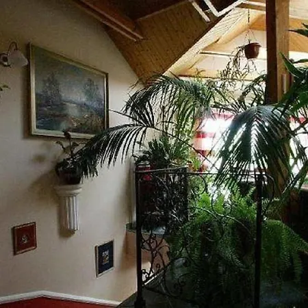 Studio Dhalia